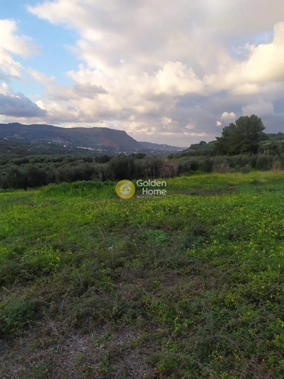 Αγροτεμάχια 1.990 τ.μ. προς πώληση, Κάτω Καλέσια