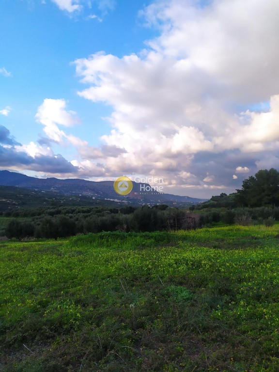 Αγροτεμάχια 1.990 τ.μ. προς πώληση, Κάτω Καλέσια