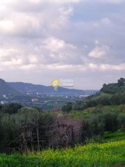 Αγροτεμάχια 1.990 τ.μ. για πώληση
