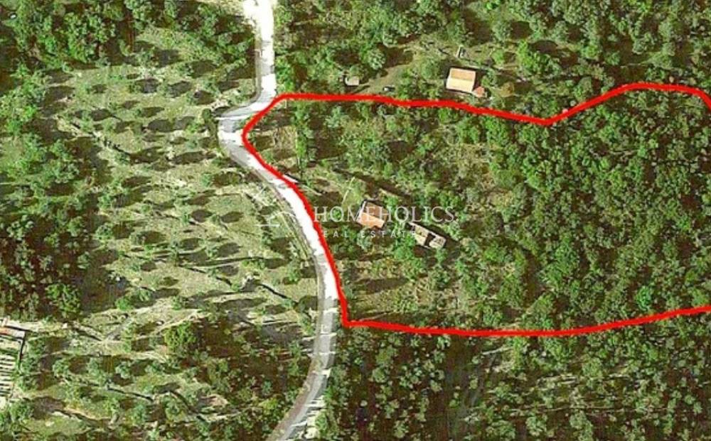 Οικόπεδο 12.287 τ.μ. πρός πώληση, Ν. Κεφαλονιάς, Ιθάκη
