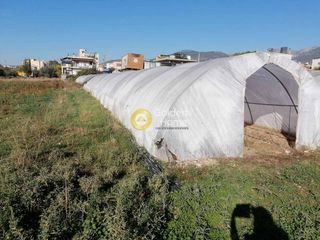 Αγροτεμάχια 800 τ.μ. για πώληση