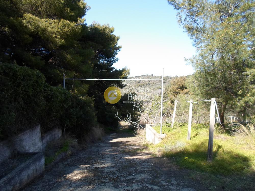 Οικόπεδο 3.798 τ.μ. προς πώληση, Μαρκόπουλο Ωρωπού
