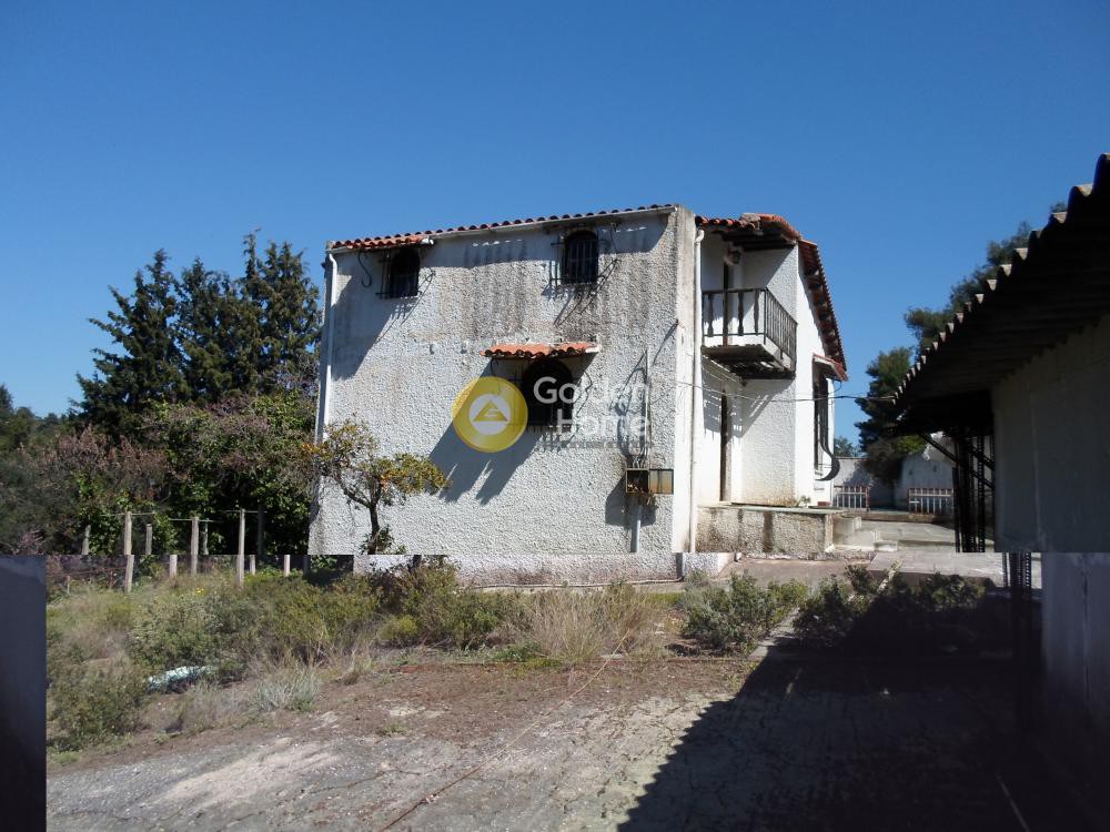 Οικόπεδο 3.798 τ.μ. προς πώληση, Μαρκόπουλο Ωρωπού