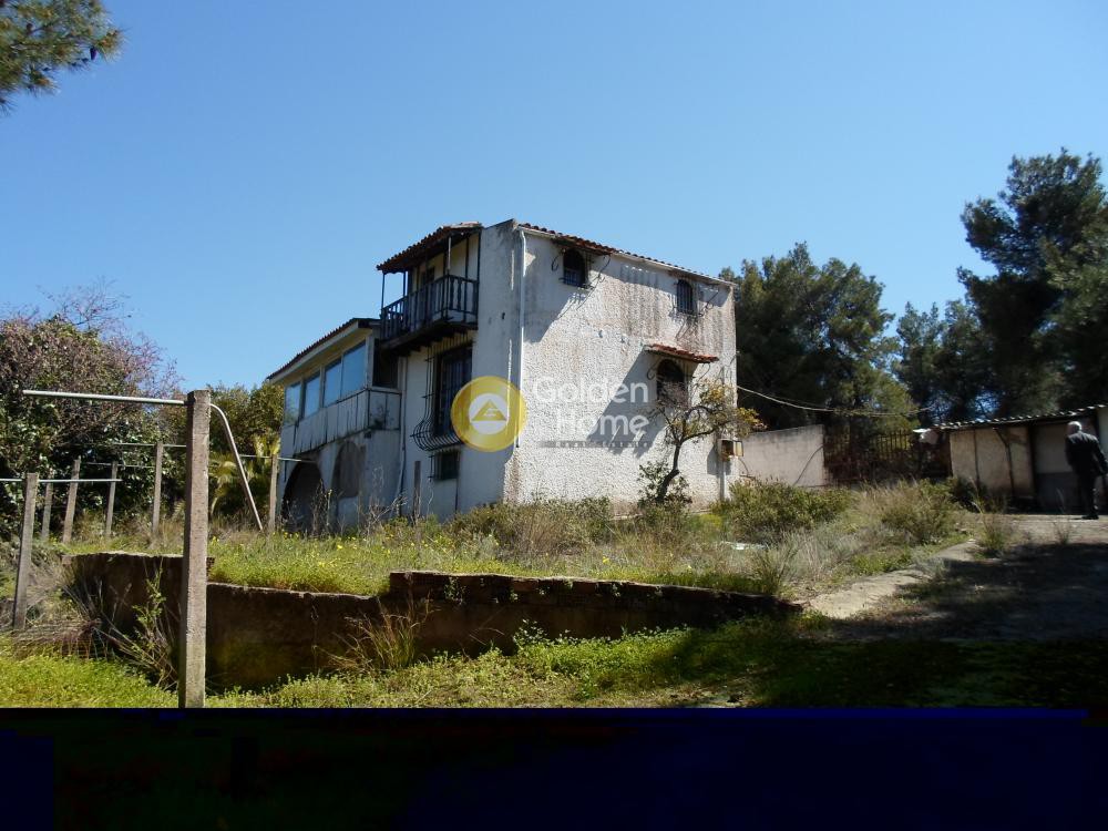 Οικόπεδο 3.798 τ.μ. προς πώληση, Μαρκόπουλο Ωρωπού