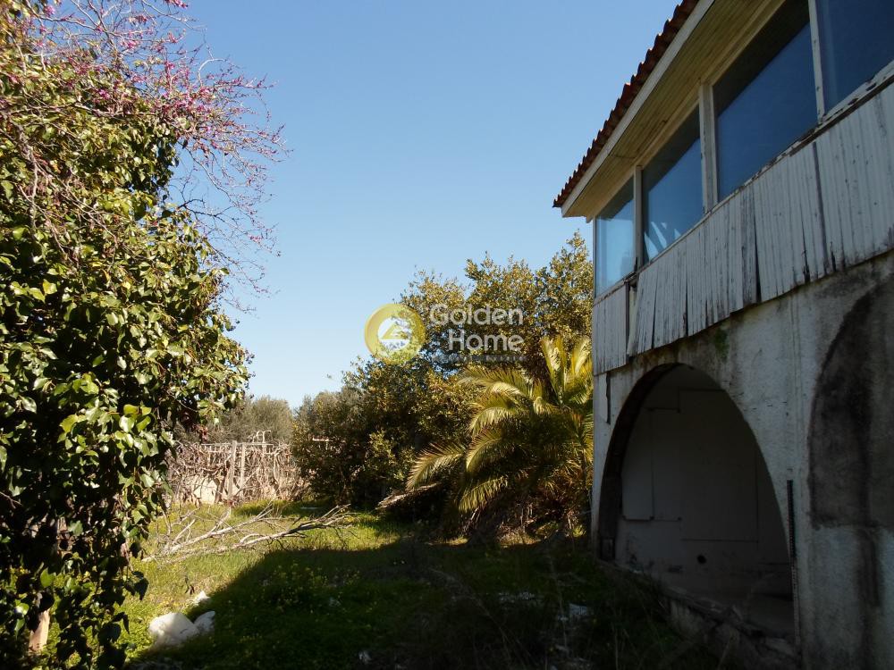 Οικόπεδο 3.798 τ.μ. προς πώληση, Μαρκόπουλο Ωρωπού