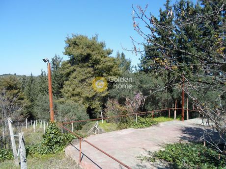 Οικόπεδο 3.798 τ.μ. για πώληση
