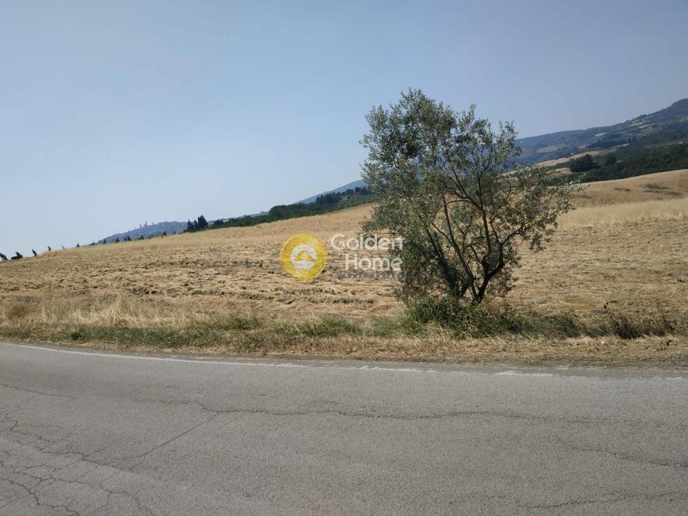 Αγροτεμάχια 836 τ.μ. πρός πώληση, Ν. Ρεθύμνου, Ζωνιανά
