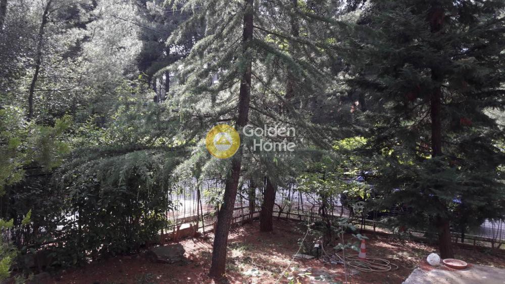 Οικόπεδο 534 τ.μ. προς πώληση, Δροσιά