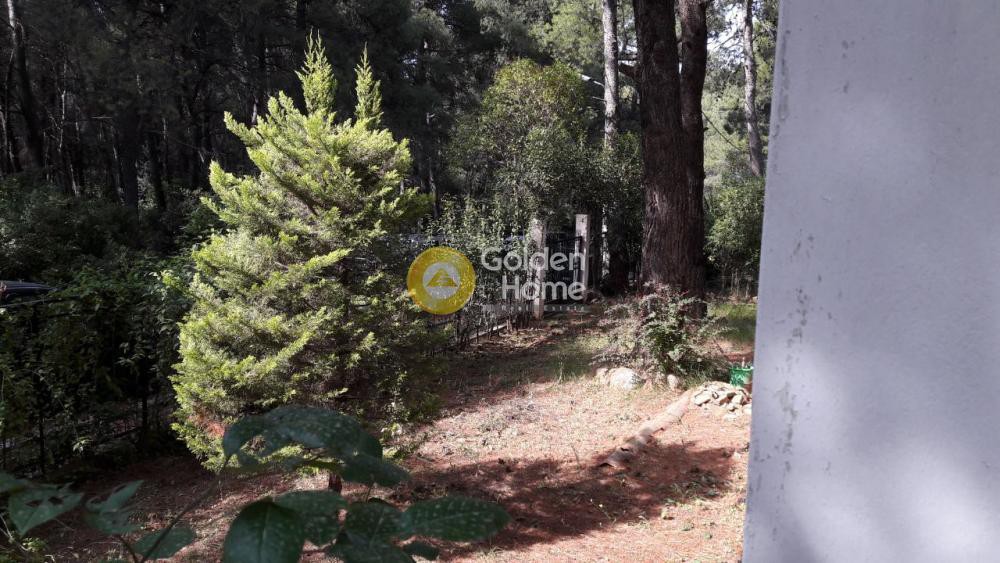 Οικόπεδο 534 τ.μ. προς πώληση, Δροσιά