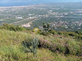 Αγροτεμάχια 1.500 τ.μ. για πώληση, Αχαΐα, Αίγιο-thumb-2