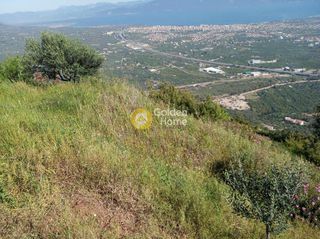 Αγροτεμάχια 1.500 τ.μ. για πώληση, Αχαΐα, Αίγιο-thumb-3