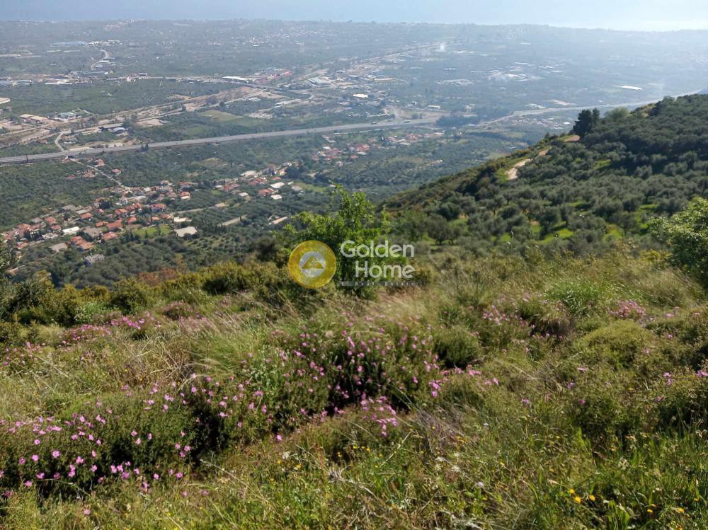 Αγροτεμάχια 1.500 τ.μ. για πώληση, Αχαΐα, Αίγιο