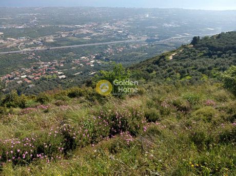 Αγροτεμάχια 1.500τ.μ. για πώληση-Αίγιο » Σελινούντας