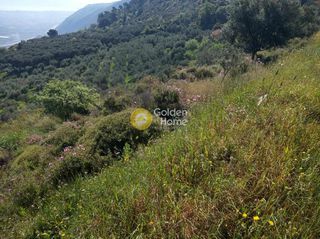 Αγροτεμάχια 1.500 τ.μ. για πώληση, Αχαΐα, Αίγιο-thumb-4