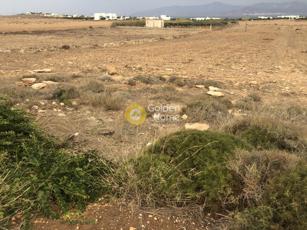 Αγροτεμάχια 13.642 τ.μ. προς πώληση, Κυκλάδες, Πάρος