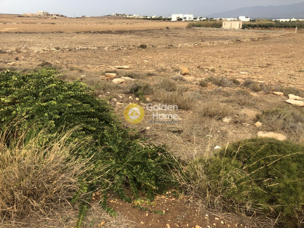 Αγροτεμάχια 13.642 τ.μ. προς πώληση, Κυκλάδες, Πάρος