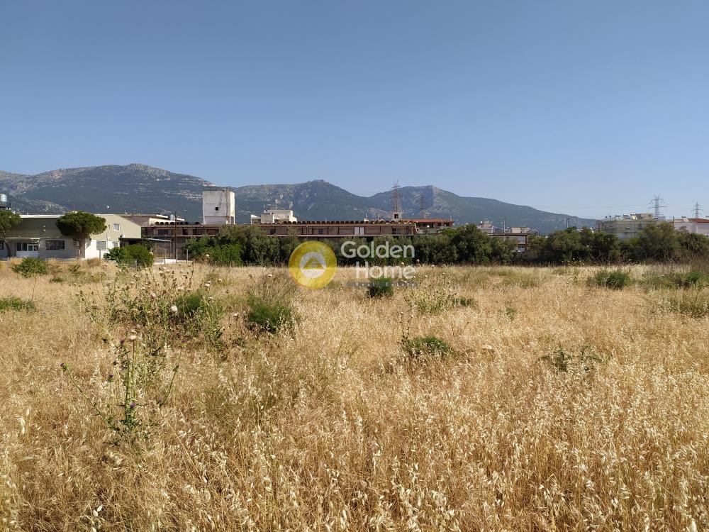 Οικόπεδο 1.393 τ.μ. προς πώληση, Αγριλέζα