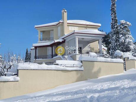 Μονοκατοικία 400 τ.μ. για πώληση
