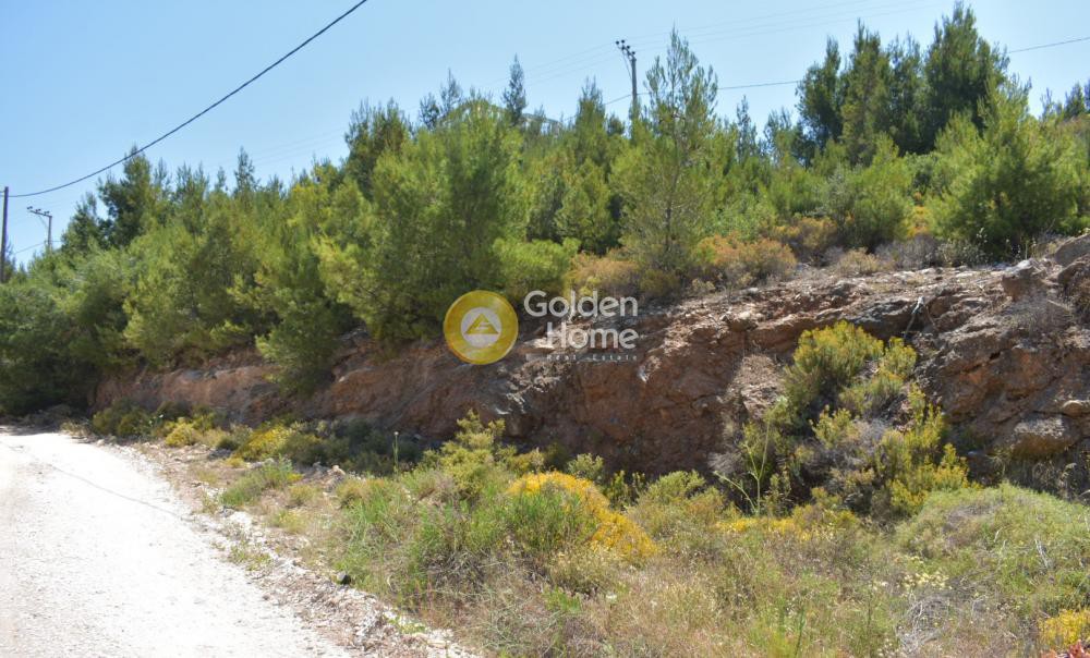 Οικόπεδο 501 τ.μ. προς πώληση, Νταού Πεντέλη