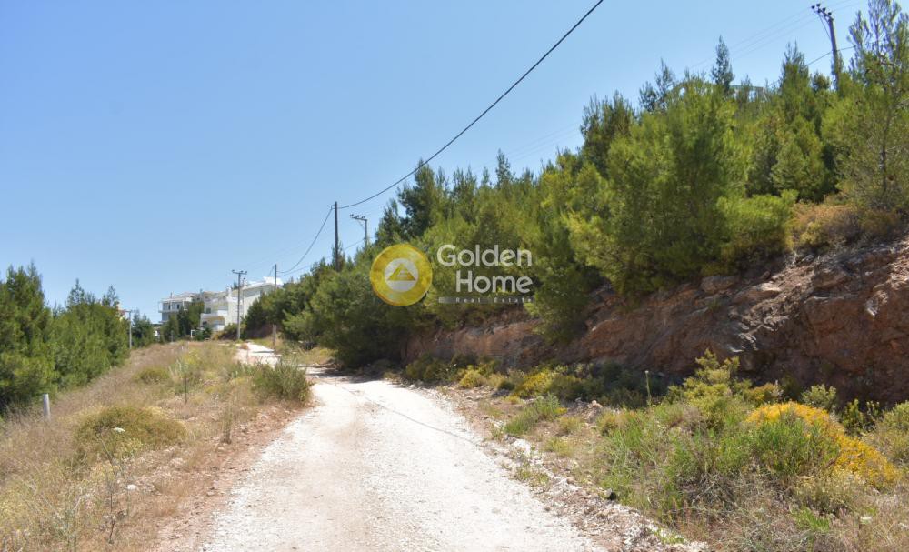 Οικόπεδο 501 τ.μ. προς πώληση, Νταού Πεντέλη