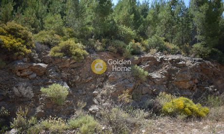 Land plot 501sqm for sale-Penteli » Ntaou Penteli