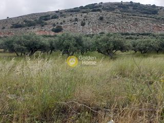 Οικόπεδο 6.408 τ.μ. για πώληση
