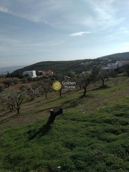 Οικόπεδο 2.000τ.μ. για πώληση-Άγιος κωνσταντίνος