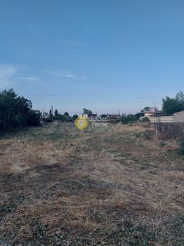 Οικόπεδο 1.000τ.μ. για πώληση-Αταλάντη » Μεγαπλάτανος