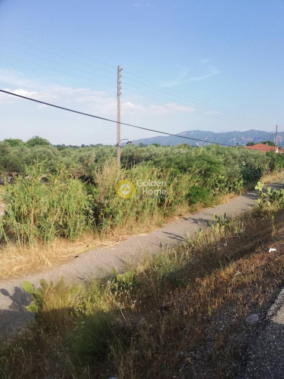 Αγροτεμάχια 2.395 τ.μ. πρός πώληση, Αιτωλοακαρνανία, Ναύπακτος