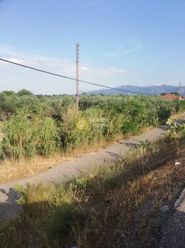 Parcel 2.395sqm for sale-Navpaktos » Xiropigado