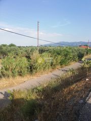 Αγροτεμάχια 2.395 τ.μ. για πώληση