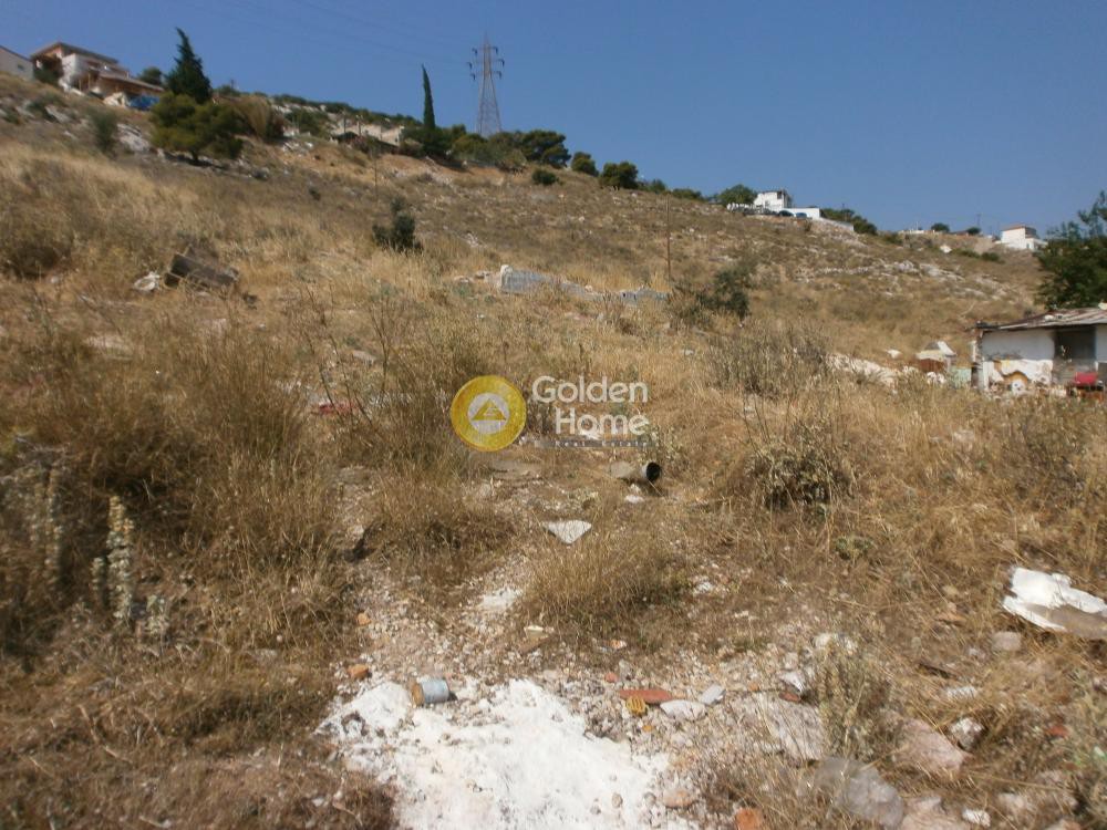 Αγροτεμάχια 180 τ.μ. προς πώληση, Φυλακές - Αθλητικό Κέντρο Κορυδαλλού