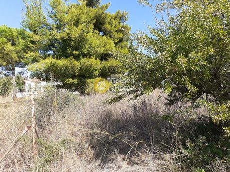Οικόπεδο 405τ.μ. για πώληση-Παλλήνη » Κέντρο