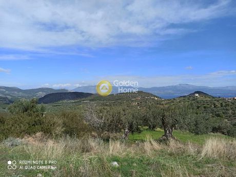 Αγροτεμάχια 2.250τ.μ. για πώληση-Σαρωνικός » Ρυτό