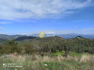 Αγροτεμάχια 2.250 τ.μ. για πώληση