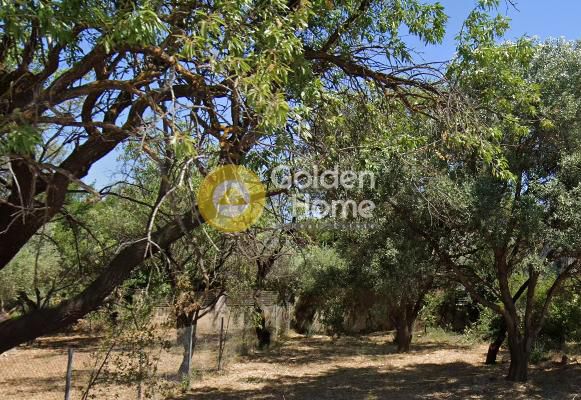 Land plot 350 sqm for sale, Athens - North, Kifisia