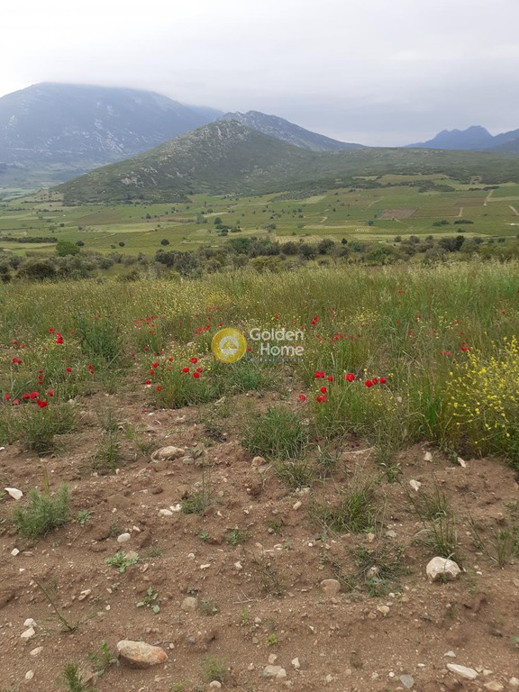 Οικόπεδο 7.700 τ.μ. προς πώληση, Άσκρη