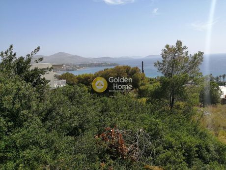 Οικόπεδο 806τ.μ. για πώληση-Κορωπί » Άγιος δημήτριος