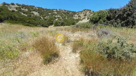 Οικόπεδο 5.207τ.μ. για πώληση-Βιαννός » Δέρματος