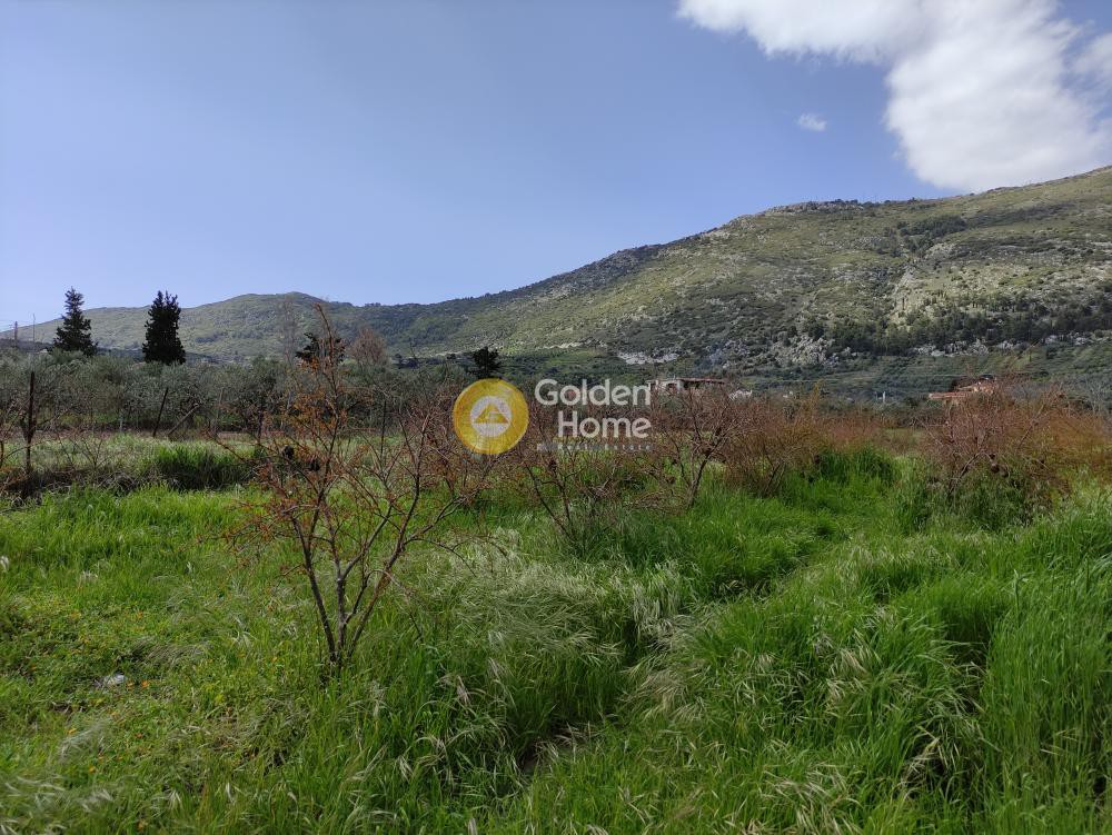 Οικόπεδο 900 τ.μ. προς πώληση, Επάνω Αρχάνες