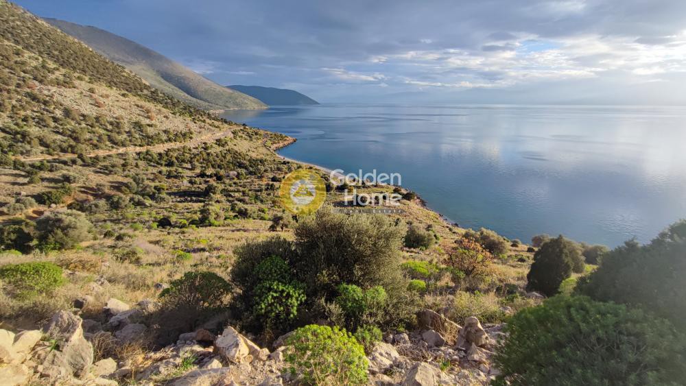 Αγροτεμάχια 25.027 τ.μ. προς πώληση, Γενημάκια