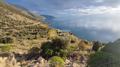 Αγροτεμάχια 25.027 τ.μ. για πώληση