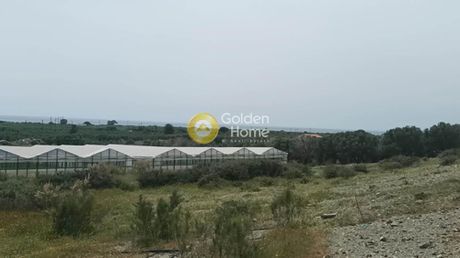 Οικόπεδο 10.814τ.μ. για πώληση-Βιαννός » Δέρματος