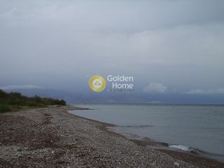 Οικόπεδο 4.432 τ.μ. για πώληση, Αχαΐα, Αίγιο-thumb-6
