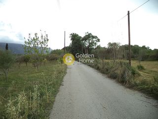 Οικόπεδο 4.432 τ.μ. για πώληση, Αχαΐα, Αίγιο-thumb-3