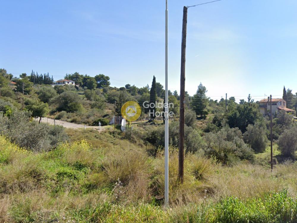 Οικόπεδο 8.371 τ.μ. για πώληση, Αργολίδα, Κρανίδι