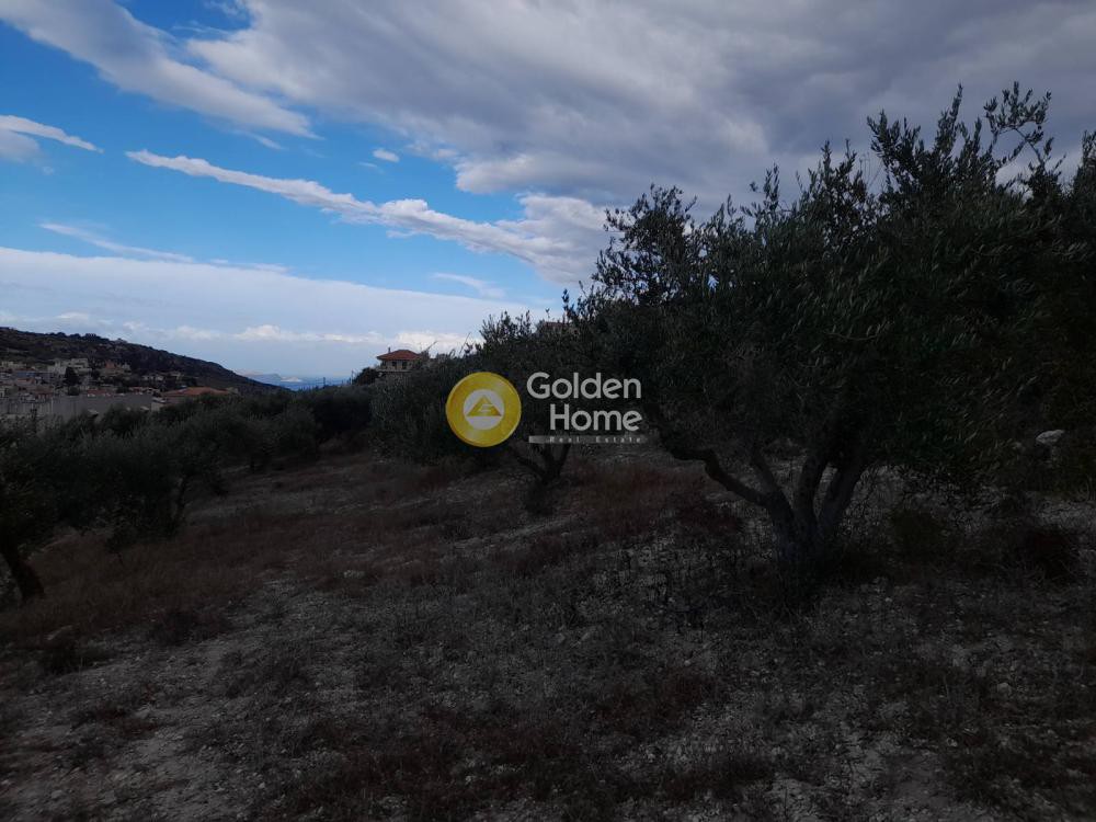 Οικόπεδο 386 τ.μ. προς πώληση, Κάτω Αρχάνες