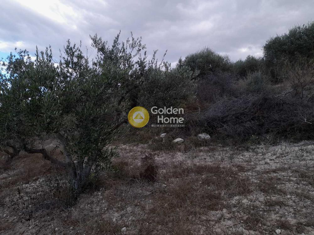 Οικόπεδο 386 τ.μ. προς πώληση, Κάτω Αρχάνες