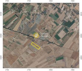 Αγροτεμάχια 10.746 τ.μ. για πώληση