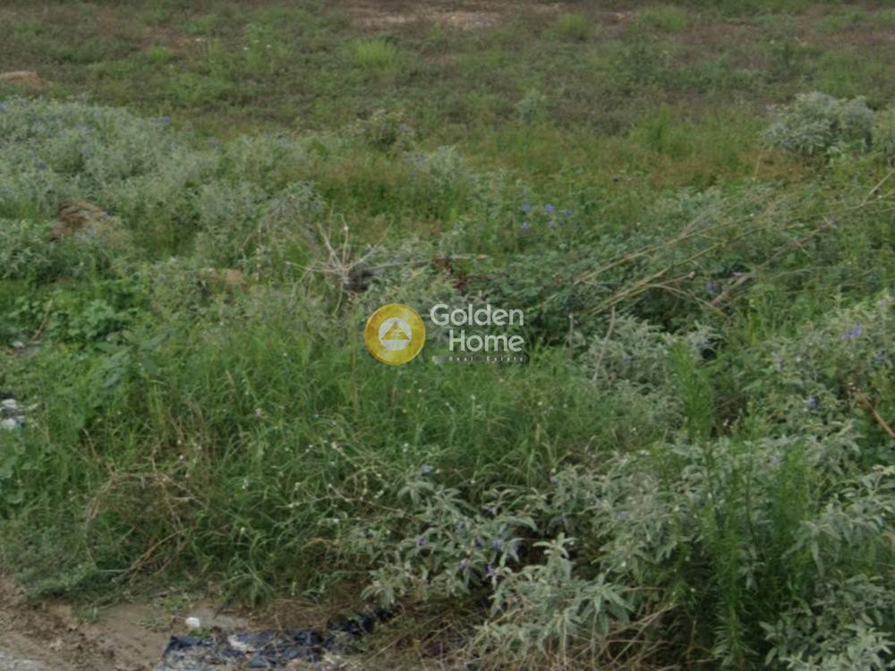 Αγροτεμάχια 1.500 τ.μ. προς πώληση, Αγία Παρασκευή Θέρμης